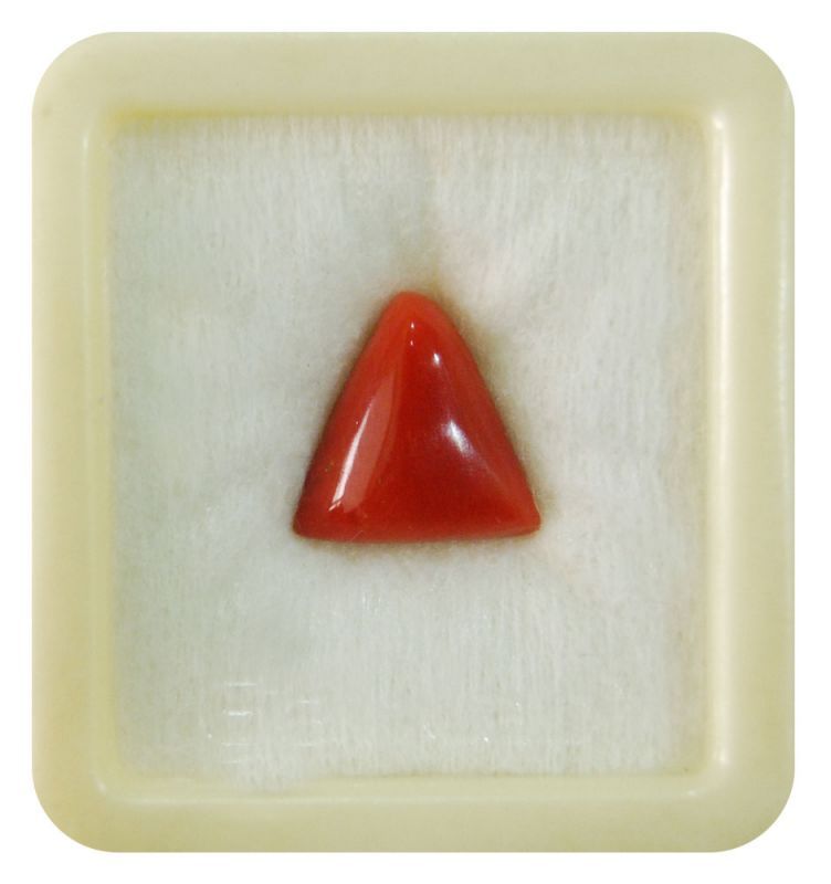 Red coral (moonga) (italian) (tri)